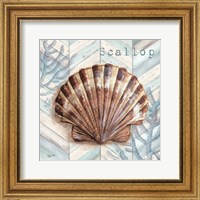 Framed 'Chevron Shell VI' border=