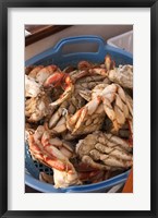 Framed Dungeness Cooked Crab, Queen Charlotte Islands, Canada