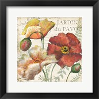 Spice Poppies Histoire Naturelle II Framed Print