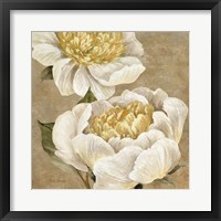 Framed Up Close Cream Peony