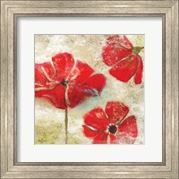 Framed Poppy Passion I