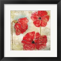 Framed Poppy Passion II