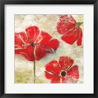 Framed Poppy Passion I