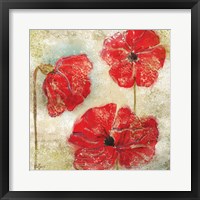 Framed Poppy Passion II