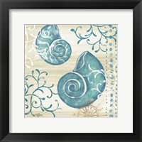 Framed Tranquil Shell II