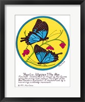 Framed Blue Mountain Swallowtail