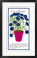 Framed Cornflower