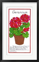 Geranium Framed Print