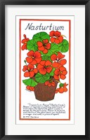 Framed Nasturtium