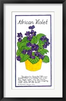 African Violet Framed Print