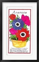 Framed Anemone