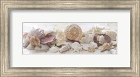 Framed Treasures by the Sea II