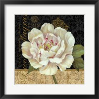 Framed Antique Still Life Peony