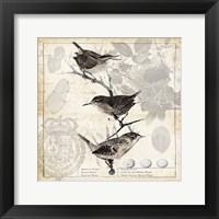 Framed Botanical Birds Black Cream I