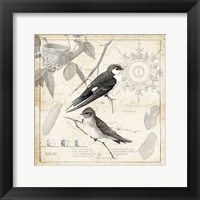 Botanical Birds Black Cream II Framed Print