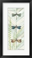 Dragonfly Botanical Panels I Framed Print