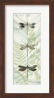 Framed Dragonfly Botanical Panels II