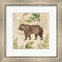 Framed 'Woodland Trail II (Bear)' border=