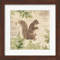 Framed 'Woodland Trail III (Squirrel)' border=