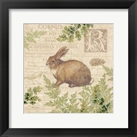Framed Woodland Trail IV (Rabbit)