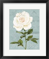 Framed Cream Rose I