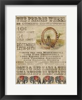 Framed Vintage Circus IV