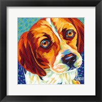 Dogs in Color II Framed Print