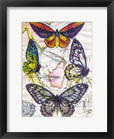 Framed Butterfly Map IV