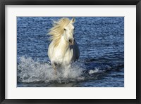 Framed Blue Sea