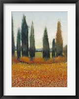 Cypress Trees I Framed Print