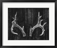 Rustic Antlers I Framed Print
