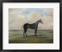 ""The Kicker,"" A Steel Grey Racehorse Framed Print
