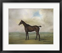 The Prince Rohan's Favorite Hunter Framed Print