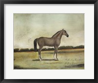 A Strawberry Roan Hunter Framed Print