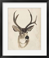 Watercolor Animal Study II Framed Print