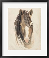 Watercolor Animal Study V Framed Print