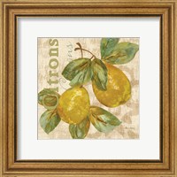 Framed 'Rustic Fruit III' border=