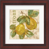 Framed 'Rustic Fruit III' border=