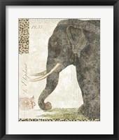 Framed L'Elephant