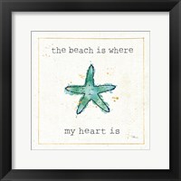 Sea Treasures III Framed Print