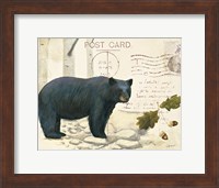 Framed Northern Wild IV