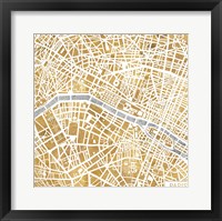 Framed Gilded Paris Map