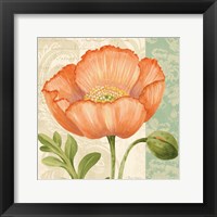 Framed Pastel Poppies II