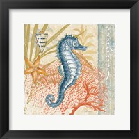 Oceana III Framed Print