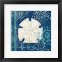 Navy Blue Spa Shells II Framed Print