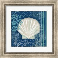 Framed Navy Blue Spa Shells III