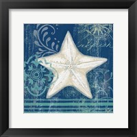 Navy Blue Spa Shells IV Framed Print