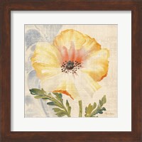 Framed Watercolor Poppies II