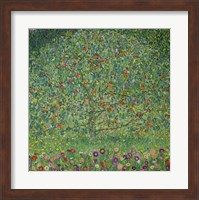 Framed Apple Tree  I, 1912