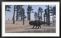 Framed Udanoceratops Walking Along Water